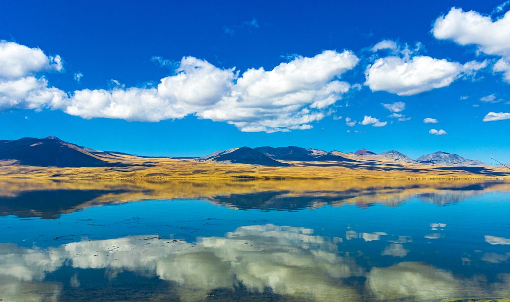 Photograph by Alex Kalpus