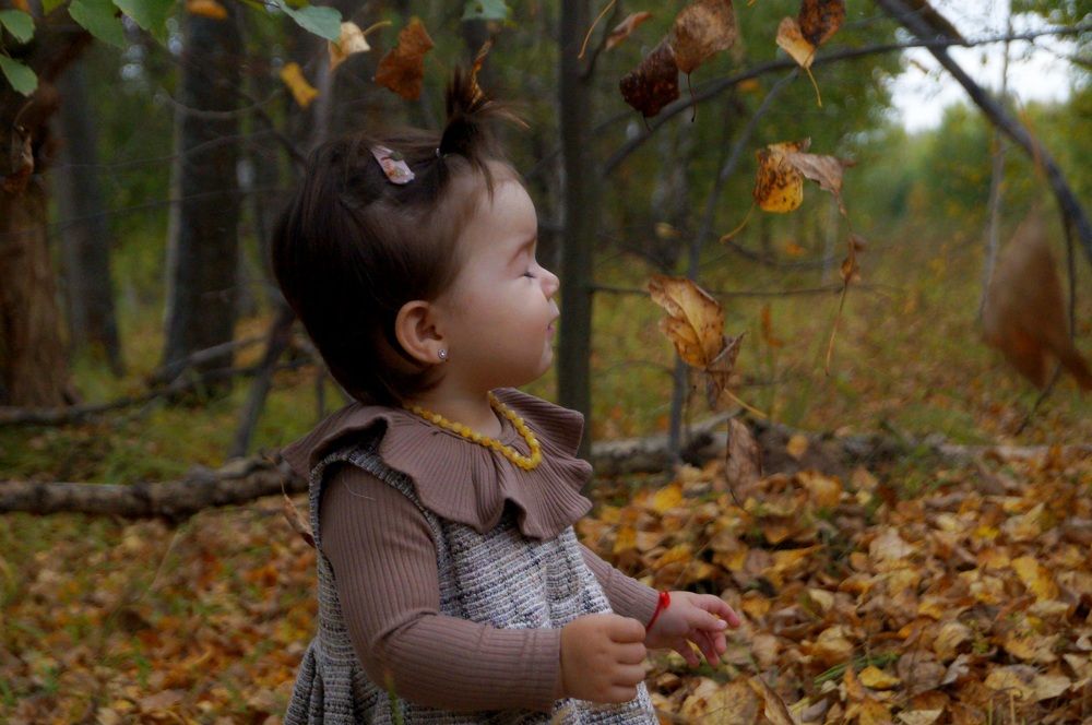 Чудесная осень