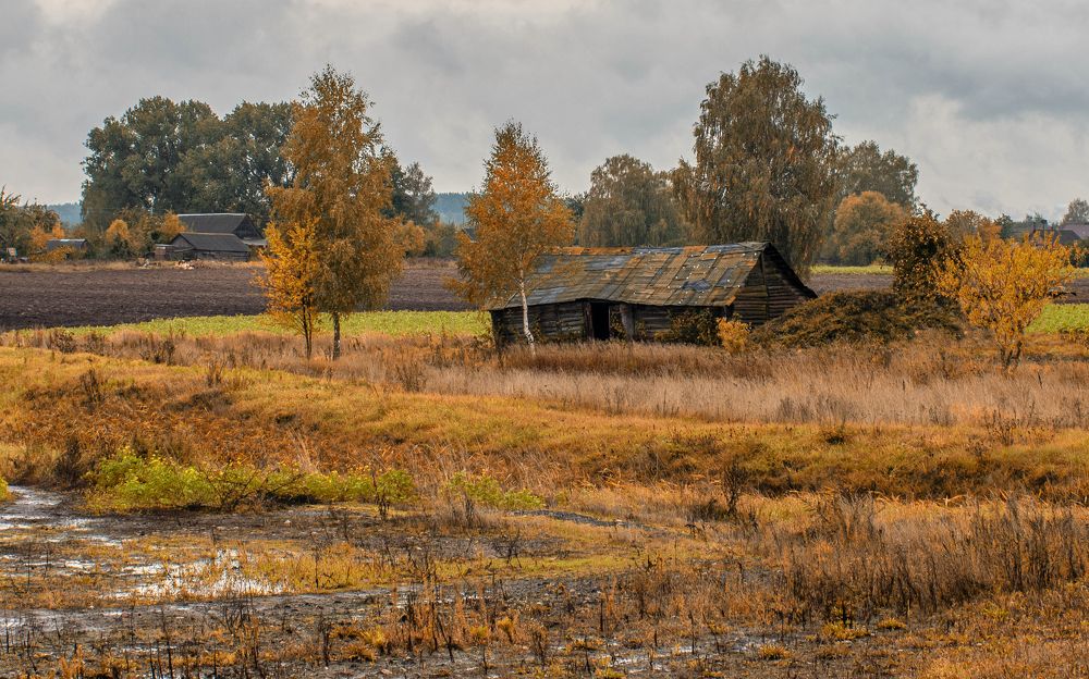 Фотография автора Александр Буренко