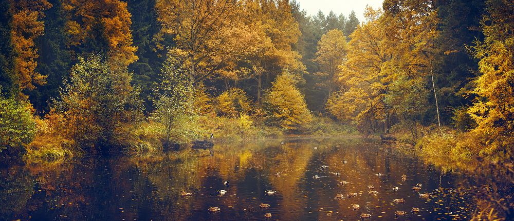 Photograph by Наталья Вистинь