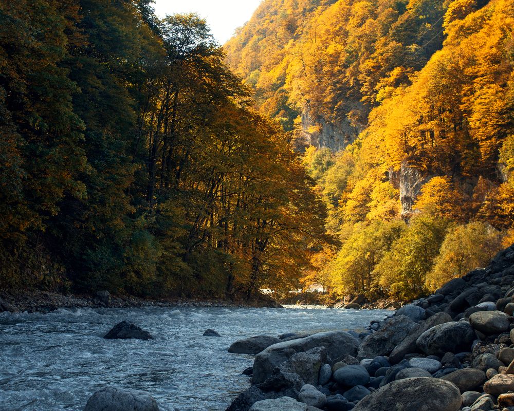 Photograph by Маликова Марина