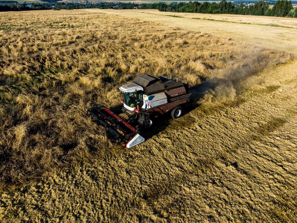 Photograph by Денис Шереметов