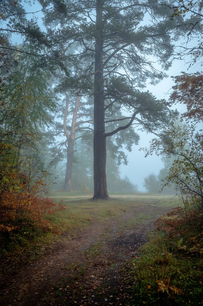 Фотография автора Андрей Васильев