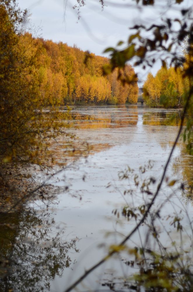 Photograph by Дарья Сергеева
