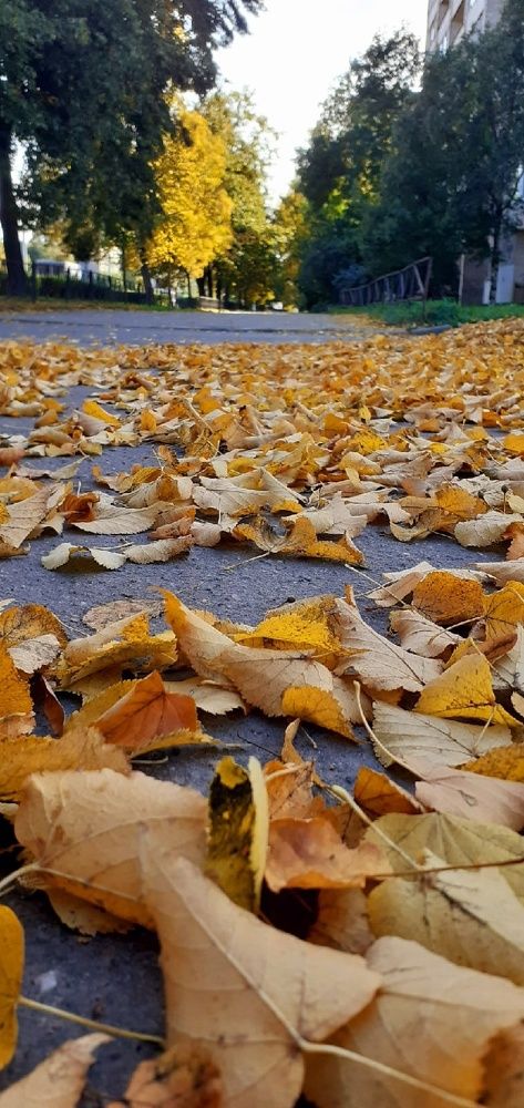 Photograph by Евгения Ульянова