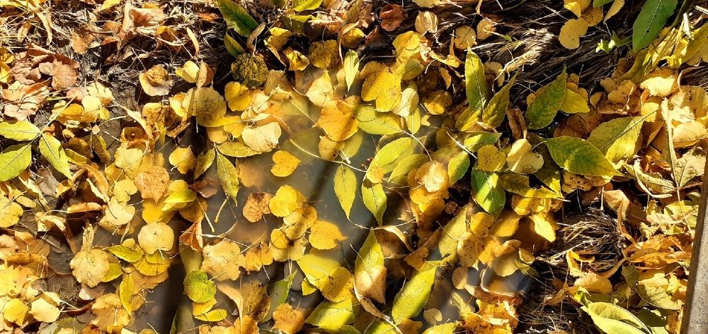 Photograph by Евгения Ульянова