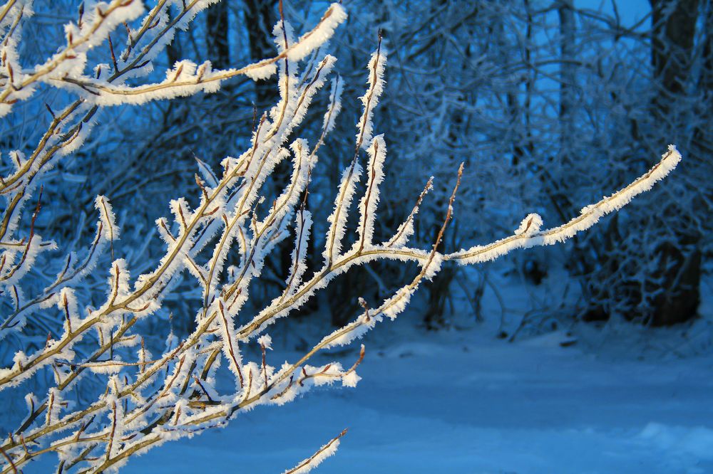 Photograph by Елена Фокина