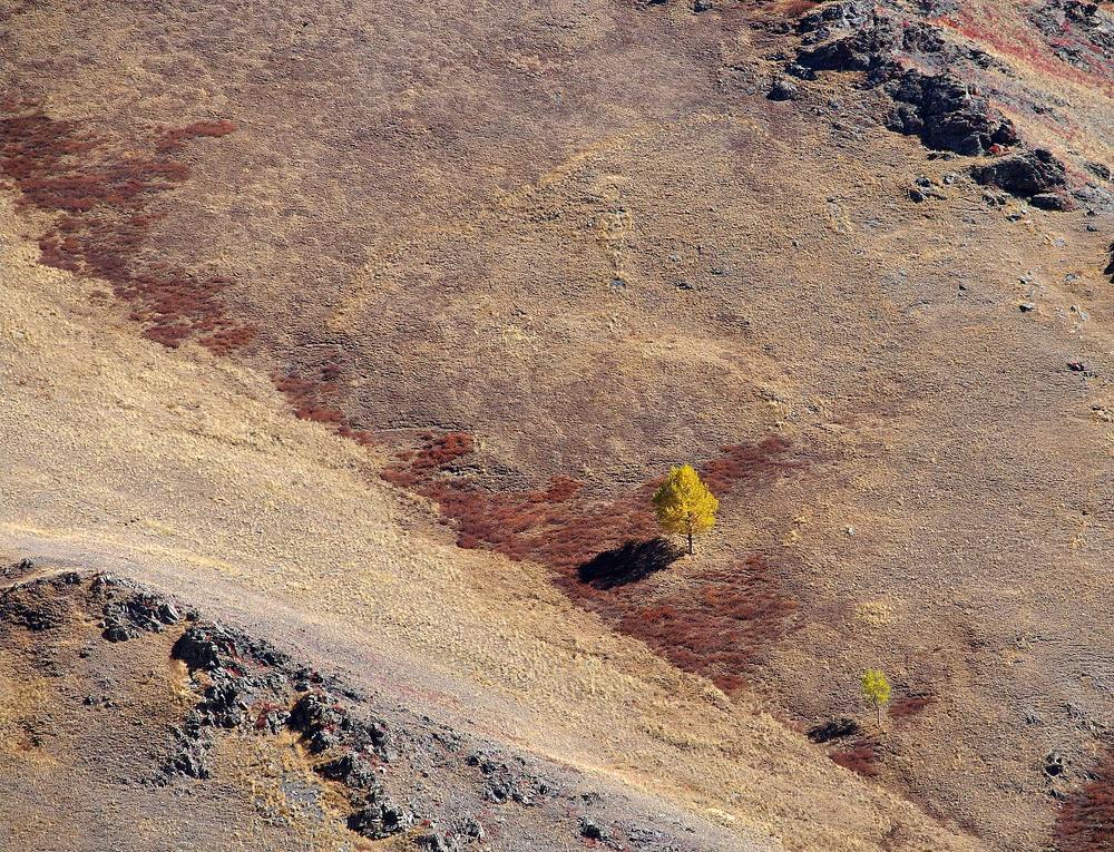 Photograph by Дмитрий Ткаченко