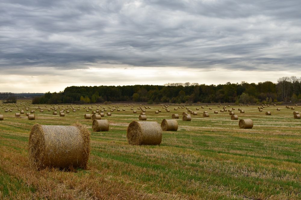 Photograph by Татьяна