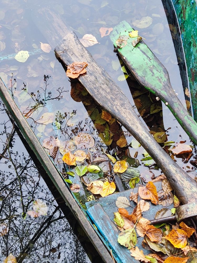 Photograph by Ольга Бондаренко