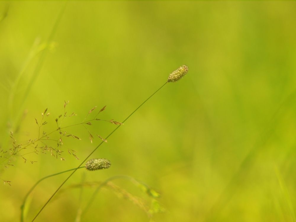 Photograph by Дмитрий Васючков