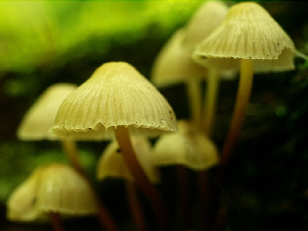 Photograph by Дмитрий Васючков