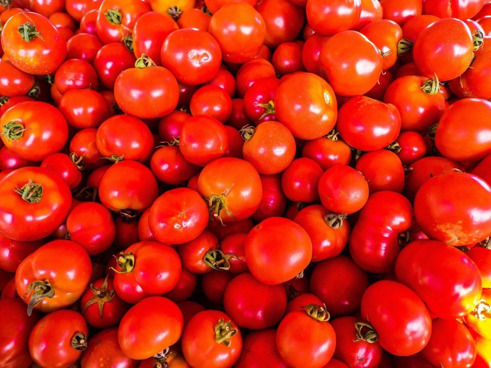 Photograph by Junya Higashi