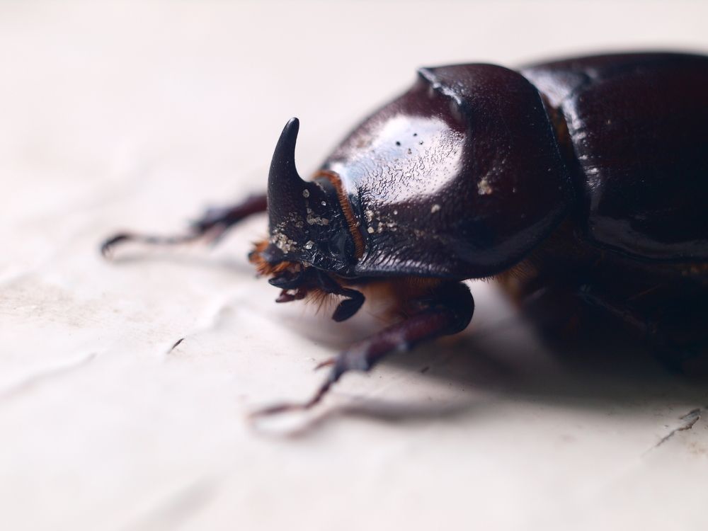 Photograph by Дмитрий Васючков