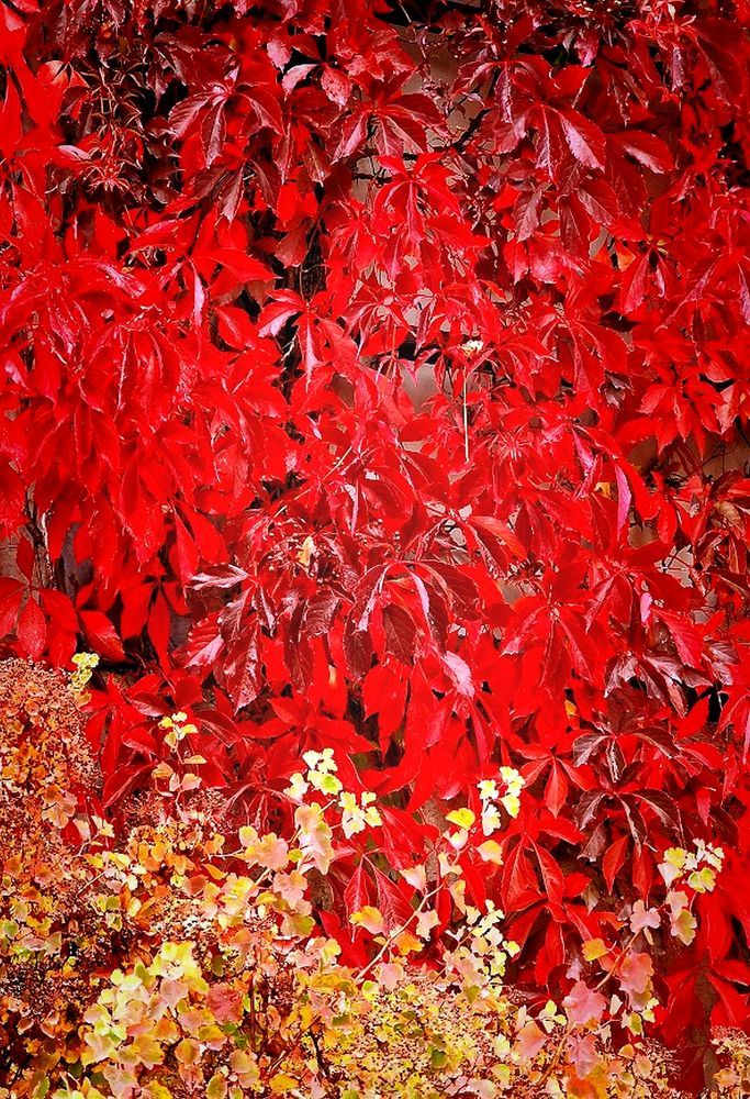 Photograph by Epp Tappel