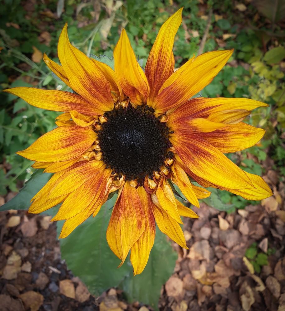 Photograph by Павел Зюлин