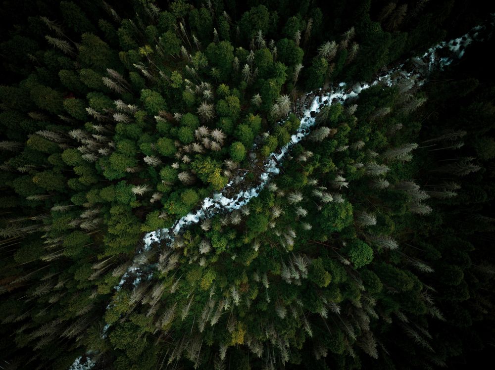 Photograph by Aleksandr Ivanov