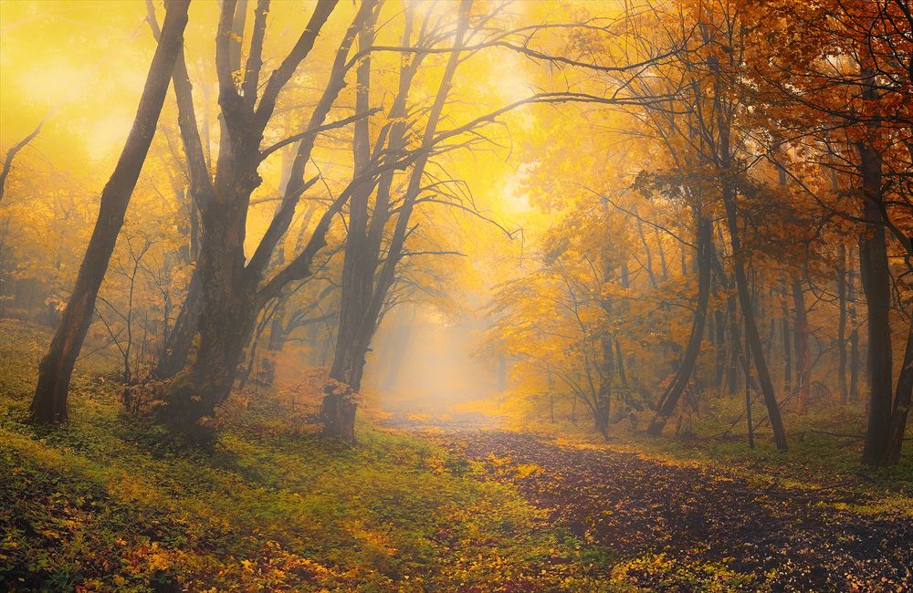 Photograph by Владимир