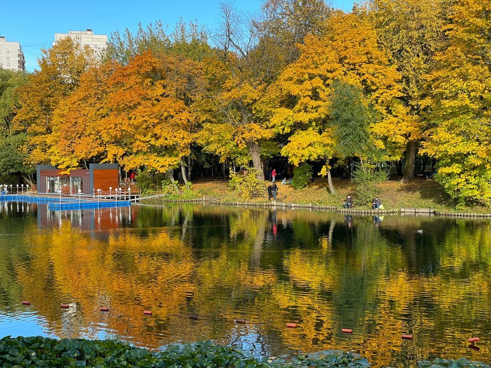 Photograph by Svetlana