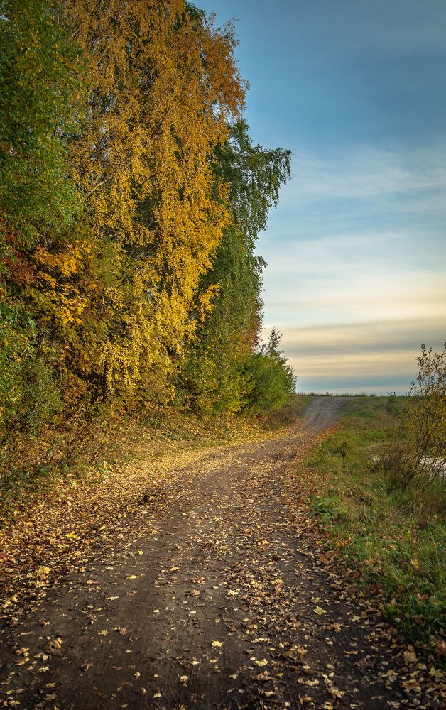 Фотография автора Шуплецов Алексей