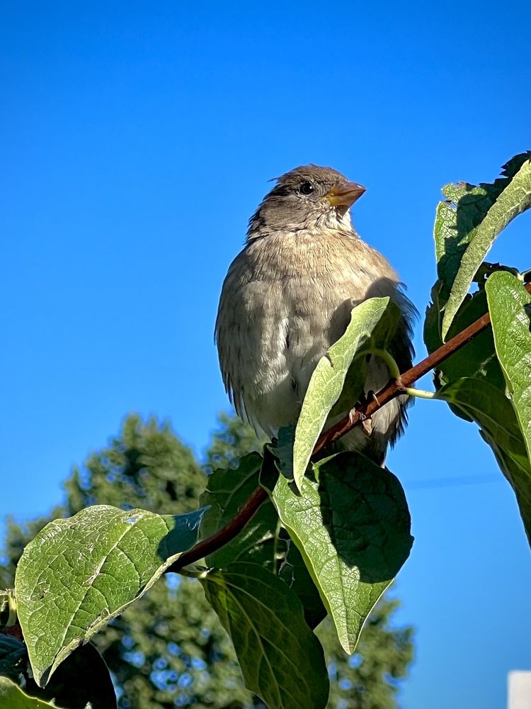 Photograph by Павел Панкратов