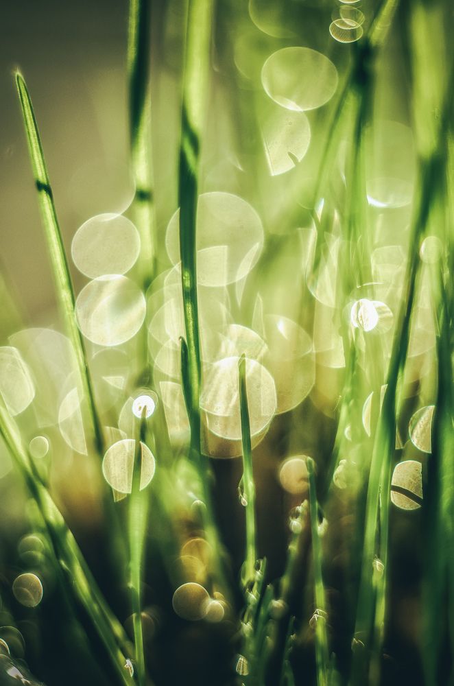 Photograph by Ольга Распопова