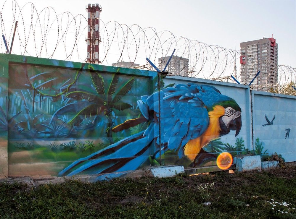 Photograph by Ольга Бондаренко