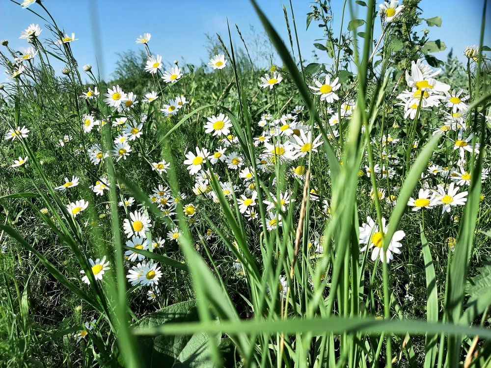 Photograph by Ирина Владимировна