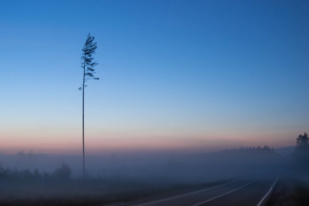 Photograph by Диана Бородзе