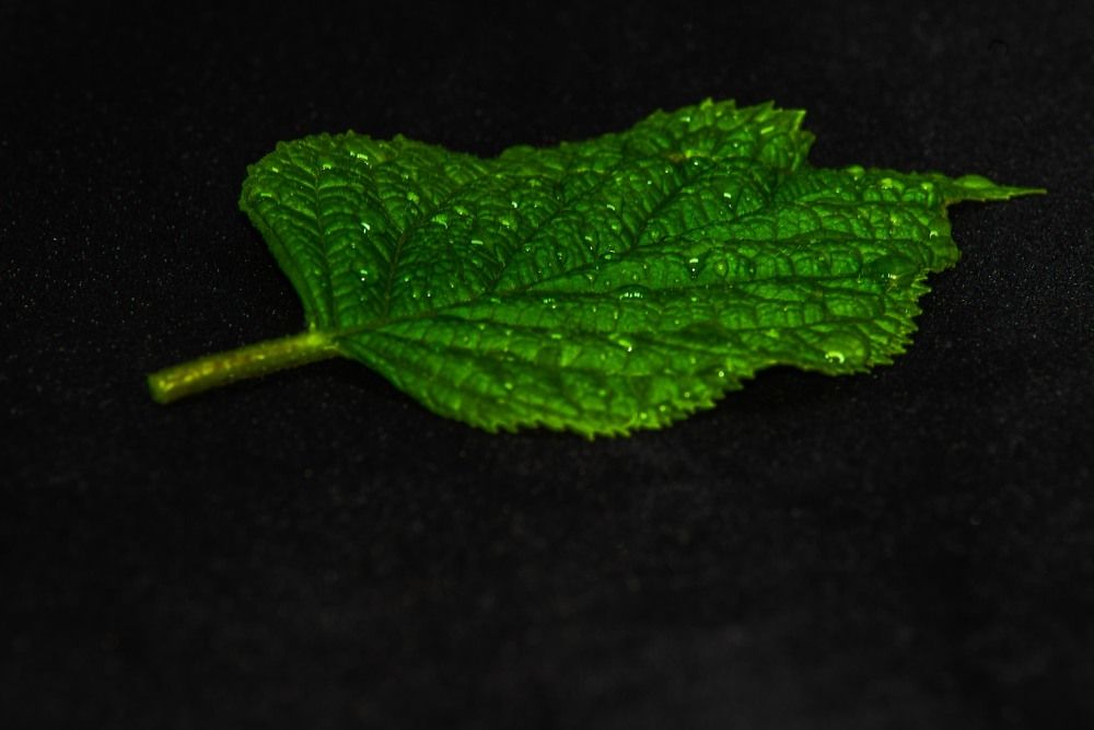 Фотография автора Aлексей Игнатьев