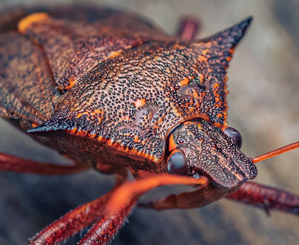 Photograph by Парфентьев Антон