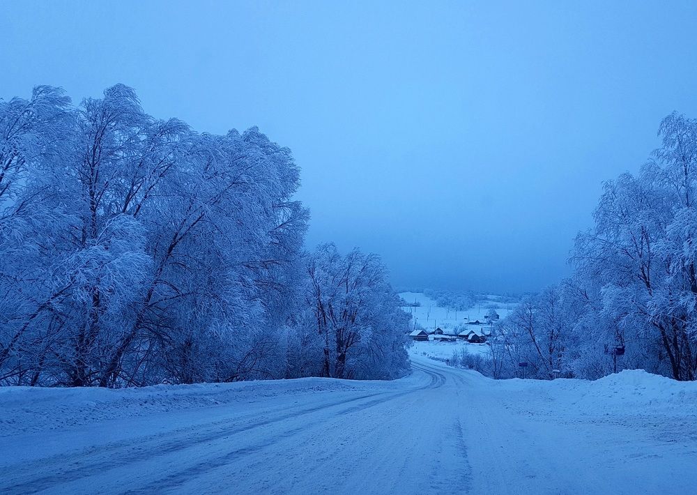 В снежном плену
