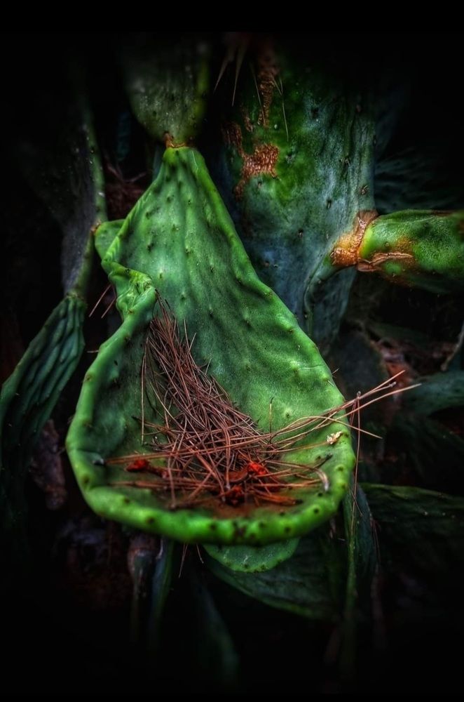 Photograph by Polina Svirida