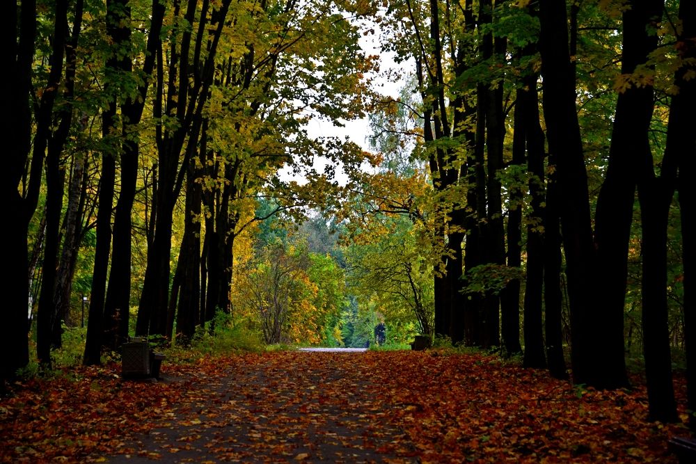 Photograph by Дмитрий Розенбаум