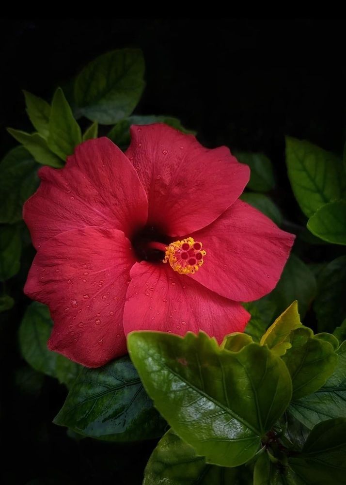 Photograph by Polina Svirida