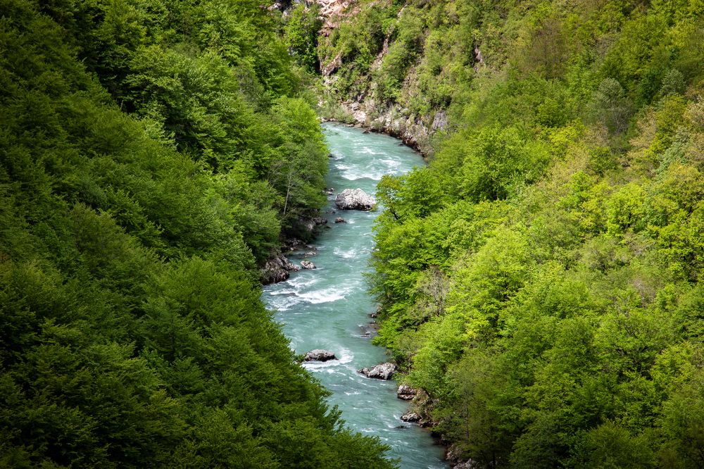 Photograph by Георгий Шитов