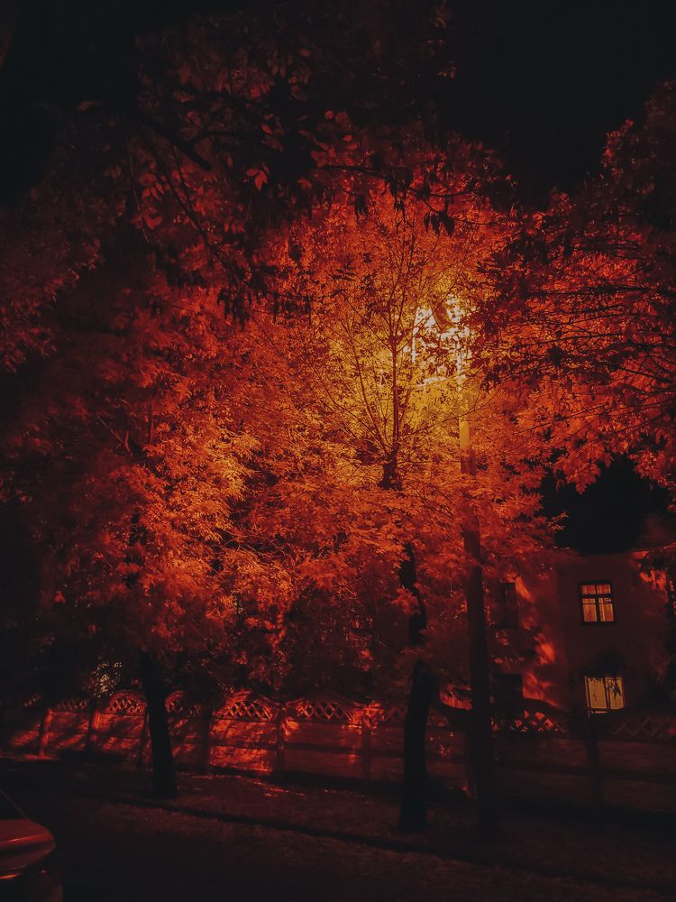 Photograph by Павел Арсенович