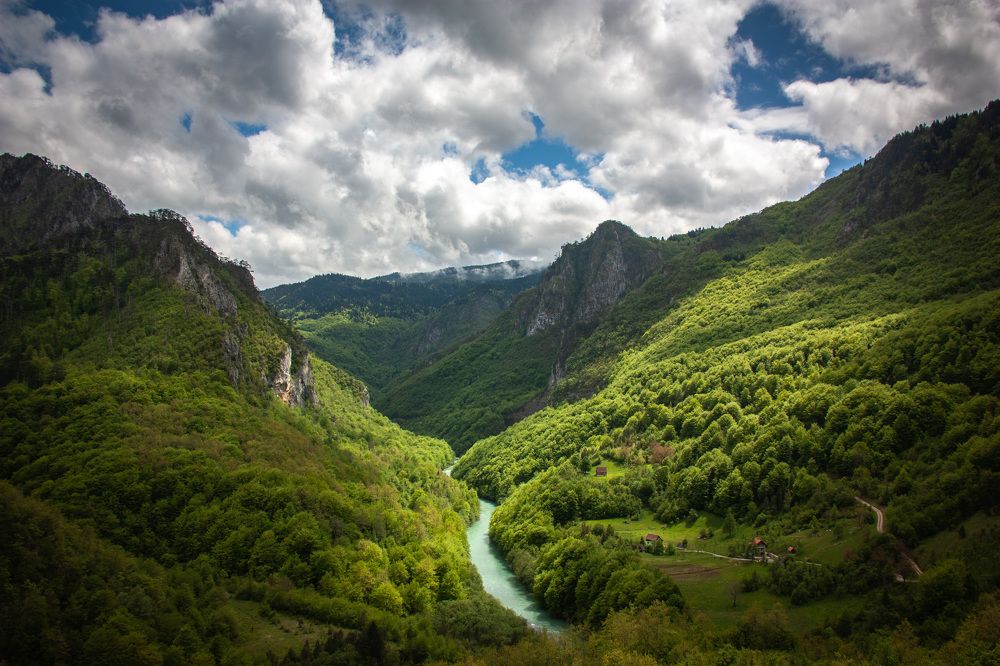 Photograph by Георгий Шитов