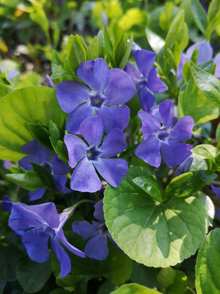 Photograph by Екатерина Борисовна Кузьмина