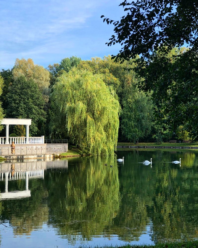 Photograph by Лариса Акинчиц