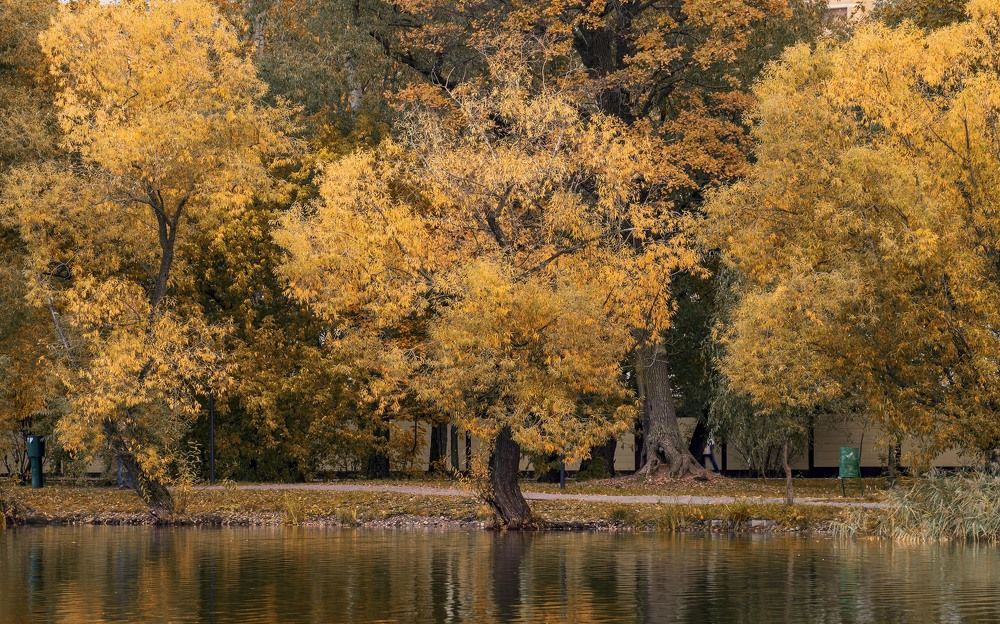 Photograph by Андрей Ныриков