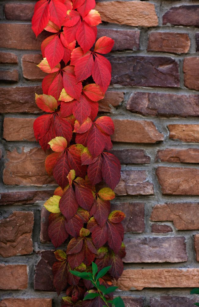 Photograph by Сергей Скворцов