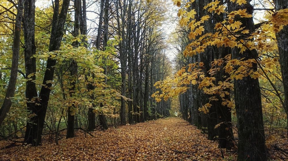 Photograph by Новикова Елена Сергеевна