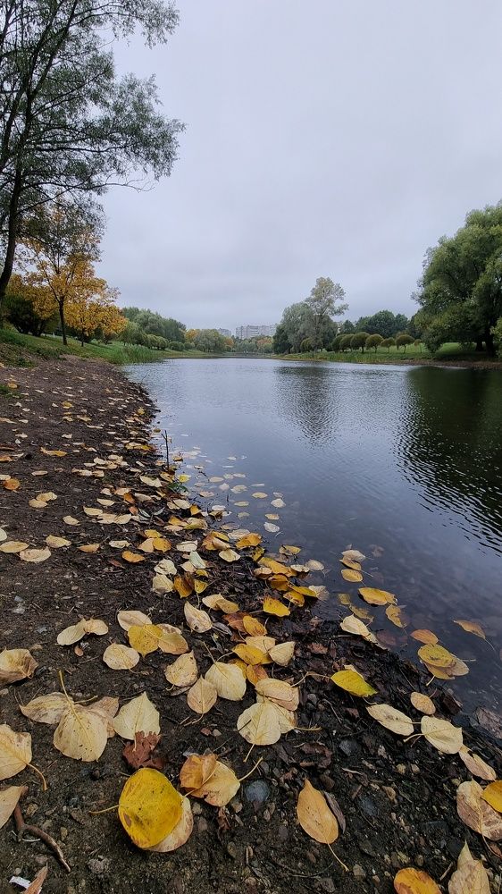 Photograph by Марина Ивасюта