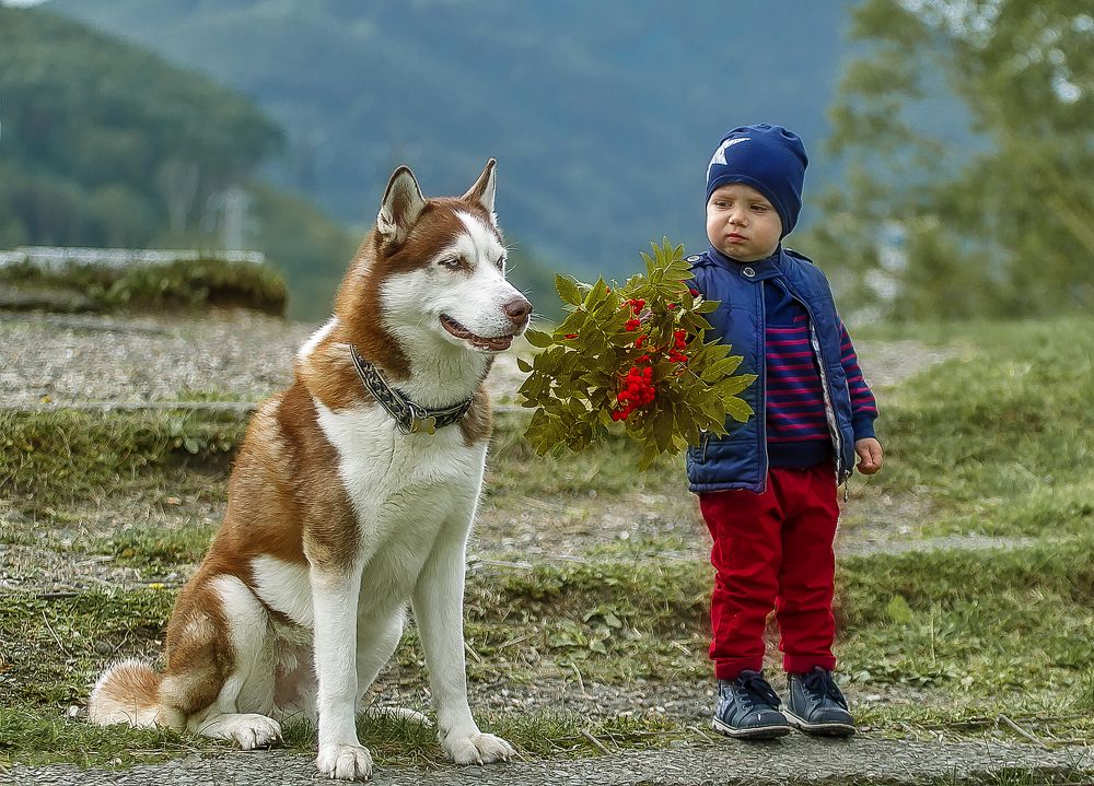 Фотография автора Дмитрий Frost