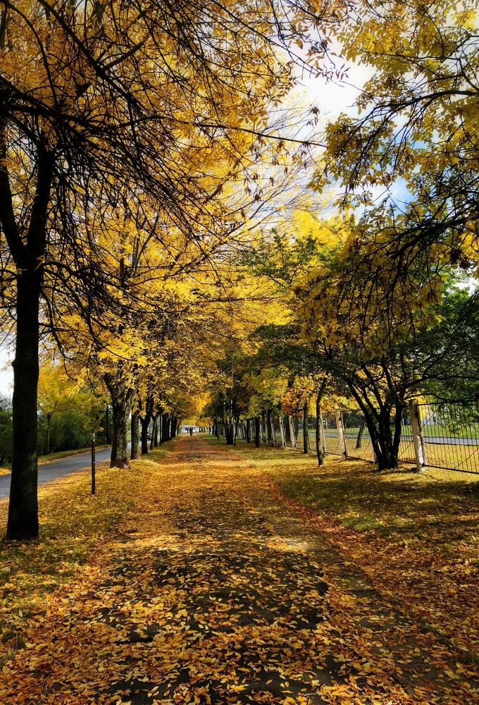 Фотография автора Гвоздецкая Анна