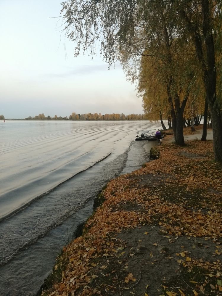 краски осени