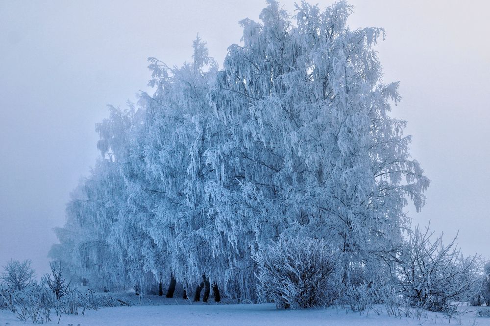 Photograph by Инна Карасева