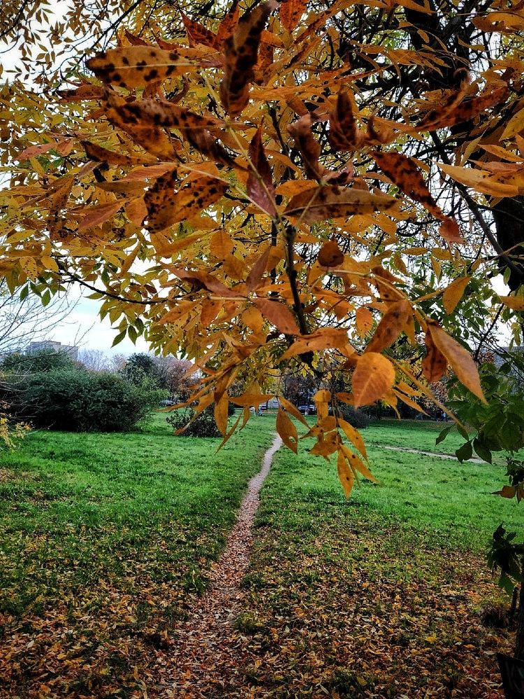 Фотография автора Гвоздецкая Анна