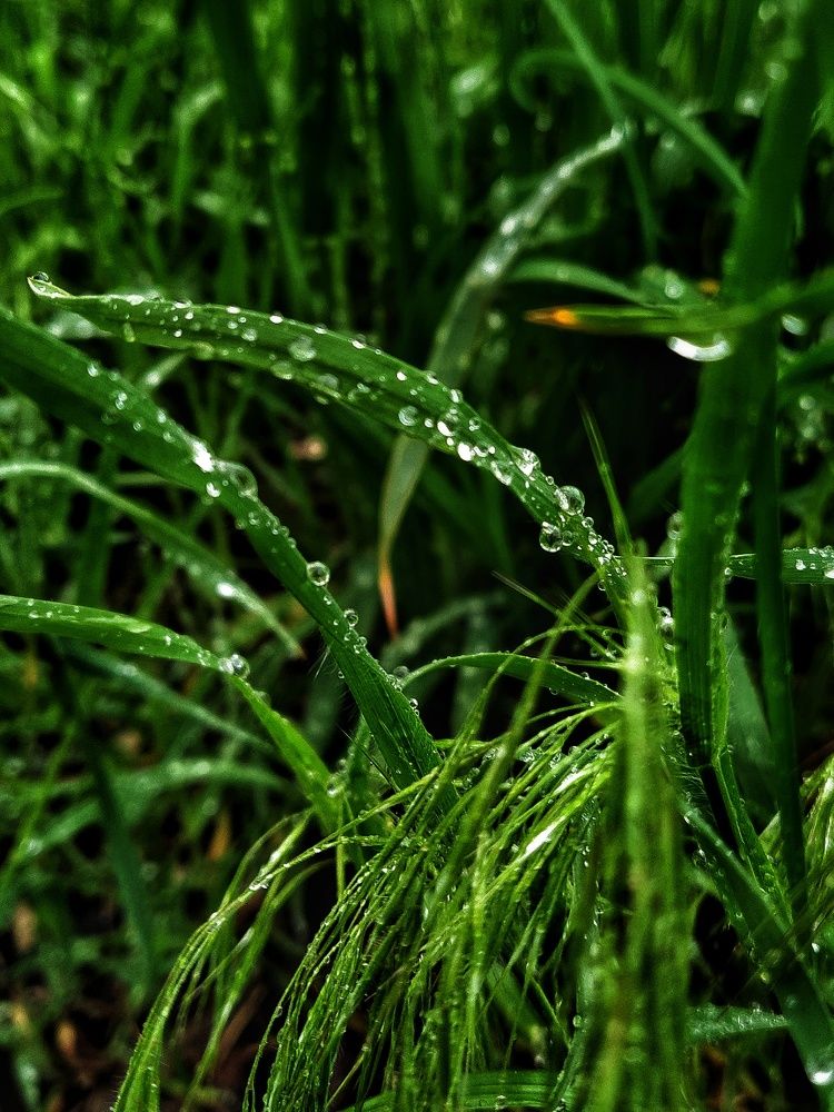 Фотография автора Гвоздецкая Анна